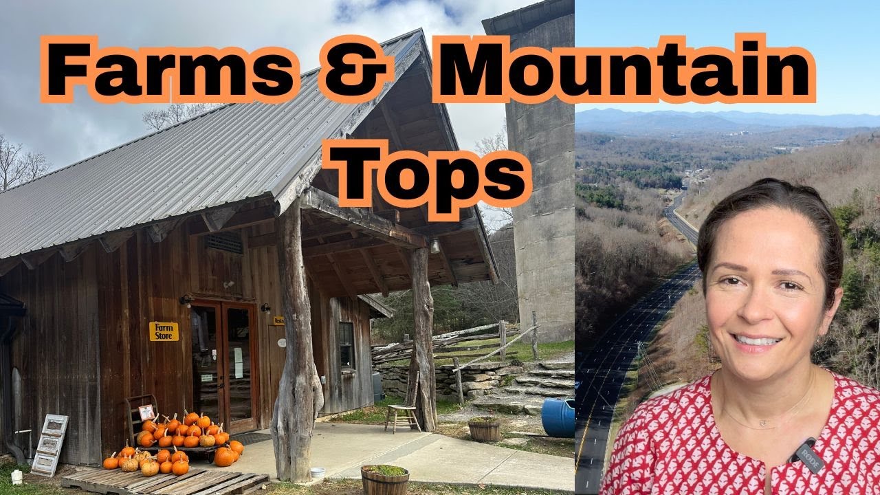 Living in Fairview MINUTES from Asheville