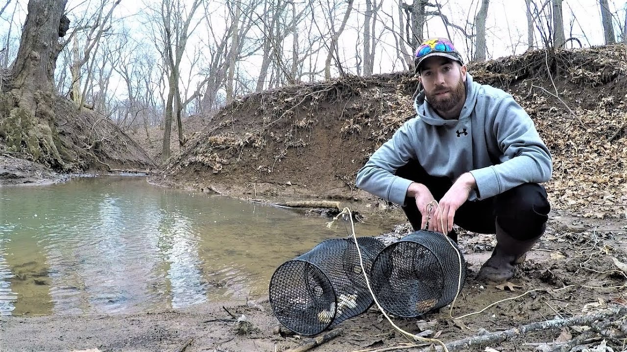 BEST Minnow Trap Bait - DOG FOOD vs BREAD (which catches more?)