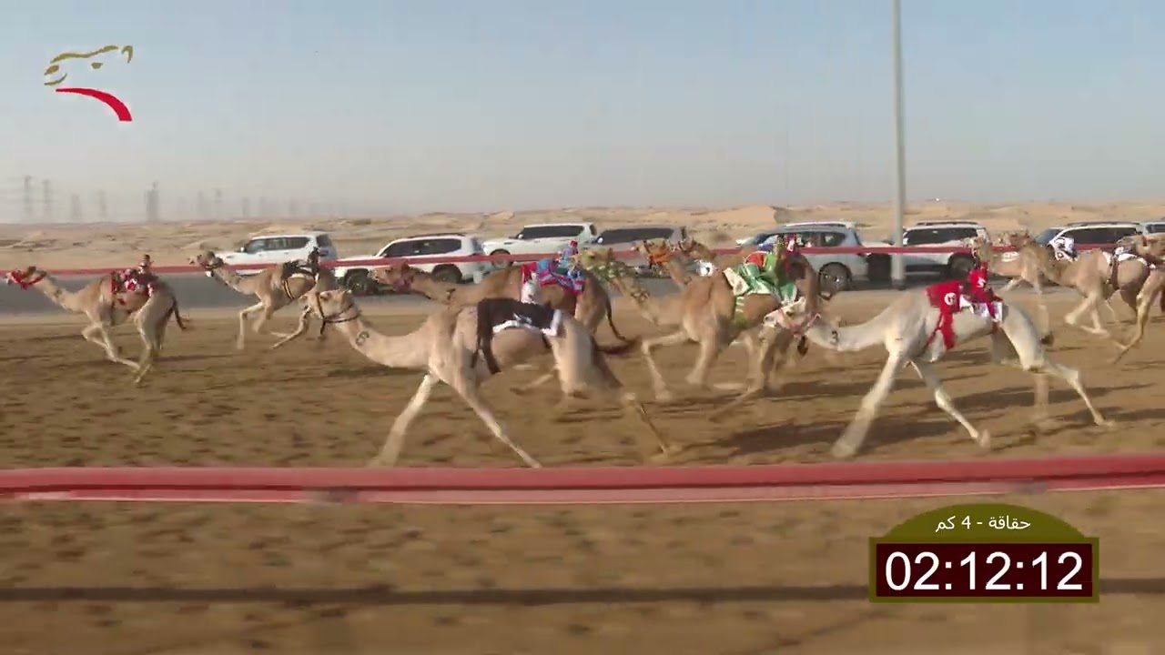 سباق الحقاقة – سيف العرب 30-01-2026 ش12 الشاعر لـ محمد صالح راشد الخوذيري  5:59