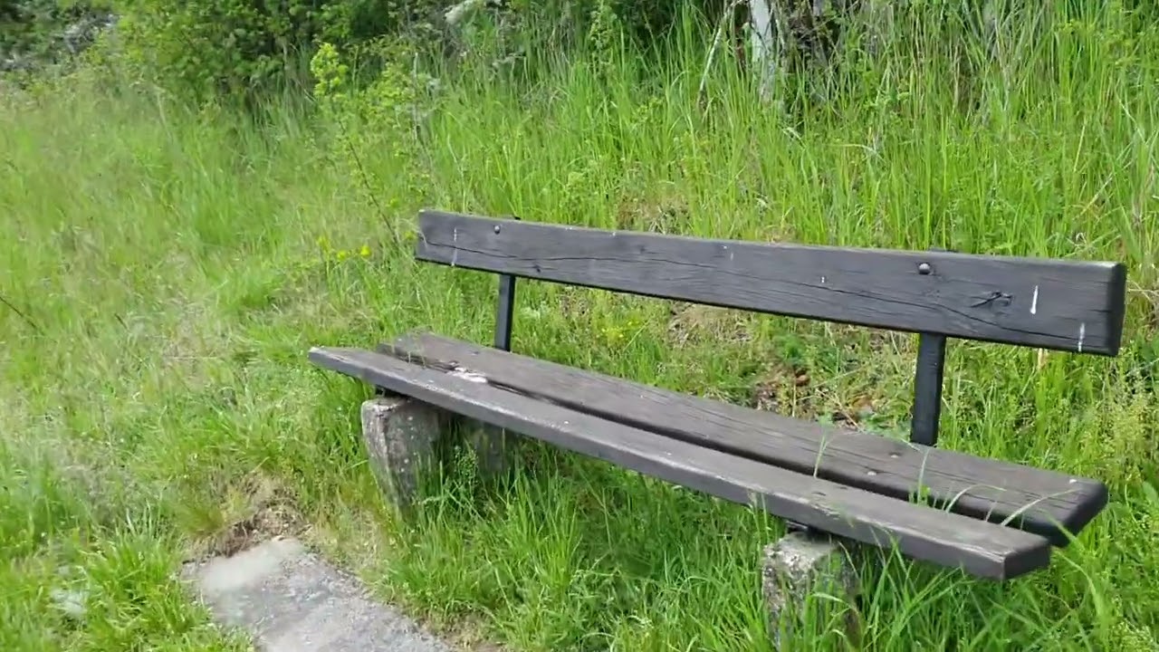 Panoramaweg oberhalb von Gees Vulkaneifel nach Pelm bei Gerolstein