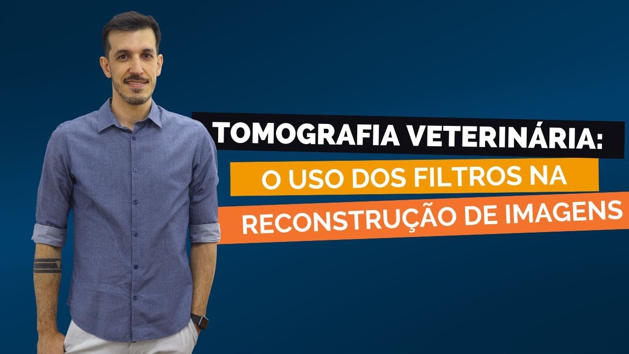 Tomografia Veterinária: o uso dos Filtros na reconstrução de imagens