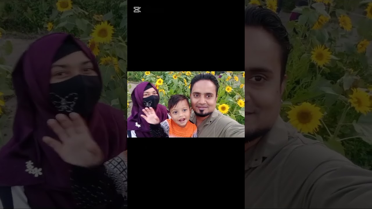 বিকেলে হুট করে ফুলের রাজ্য থেকে ঘুরে আসলাম 🌻🌻🌻🌻🥰#আলিফের আম্মু#minivlog 