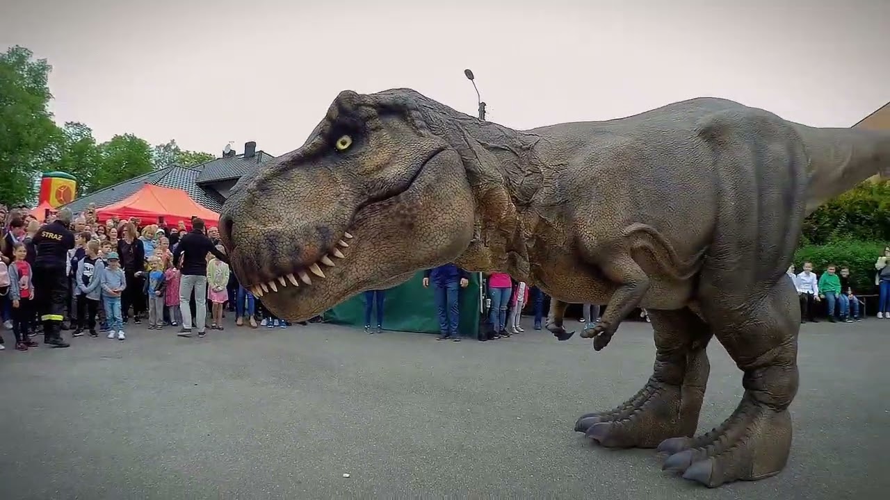 V Rodzinny Festyn Fatimski w Turzy Śląskiej. Tyranozaur REX. Dinozaur w akcji.