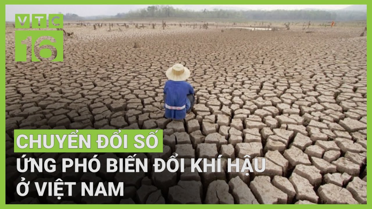 Chuyển đổi số ứng phó biến đổi khí hậu ở Việt Nam | VTC16