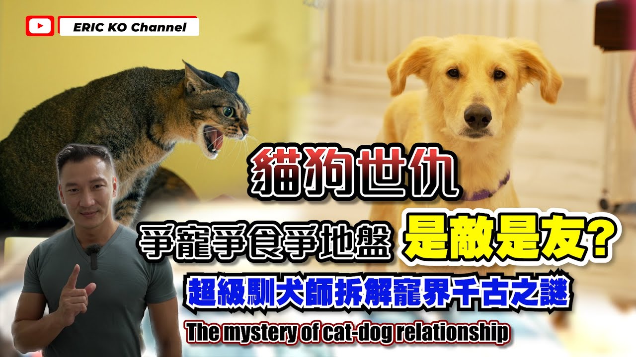 🐱貓🐶狗世仇! 爭寵爭食爭地盤 是敵是友?超級馴犬師拆解寵界解千古之謎The mystery of 🐱cat - dog🐶 relationships