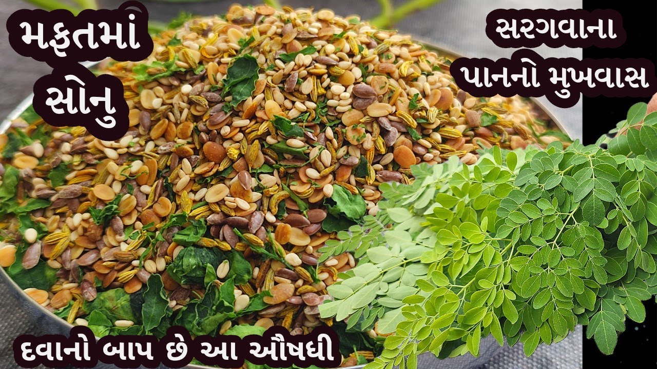 મફતમાં મળતા સરગવાનું મૂલ્ય સમજો તો સોનુ The benefits of moringa leaves | mouth freshener | Mukhwas