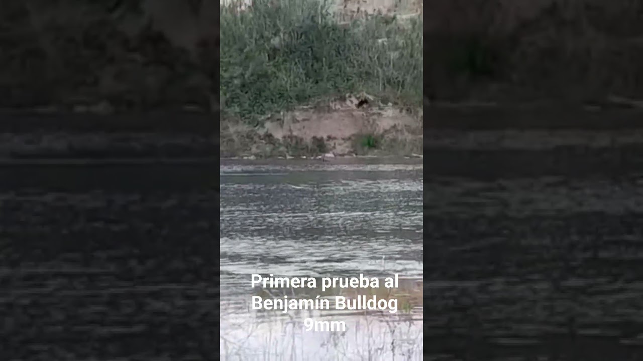 probando el Benjamín Bulldog 9mm.. terrible máquina.👌🏻
