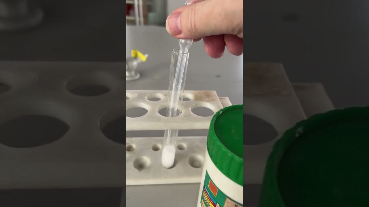 Testing carbon dioxide with limewater IMG 0422