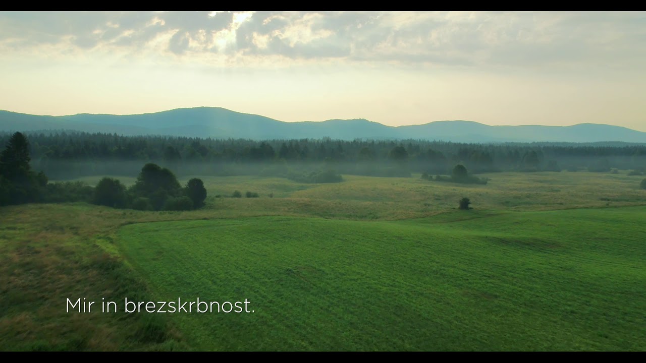 ZDAJ JE ČAS. Da odkrijete skrivnostne gozdove Kočevskega. Moja Slovenija 💚