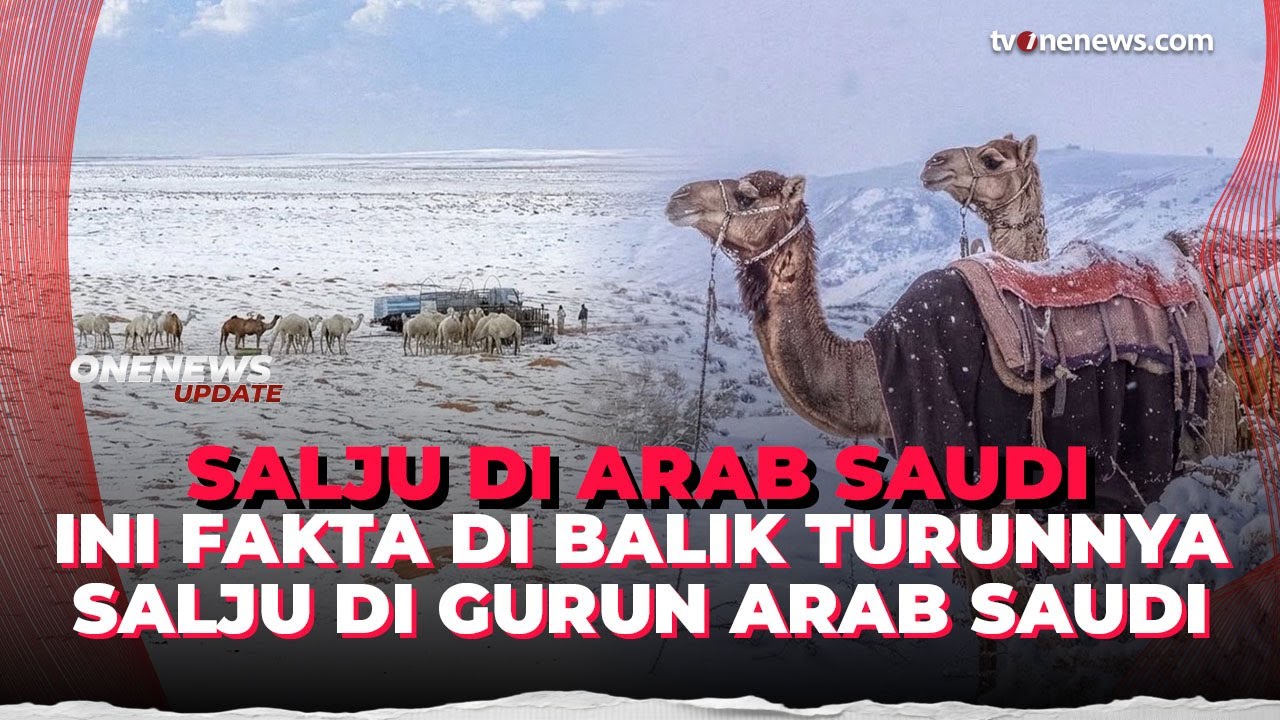 Ini Fakta di Balik Salju Tebal yang Tutupi Pegunungan Arab Saudi | OneNews Update