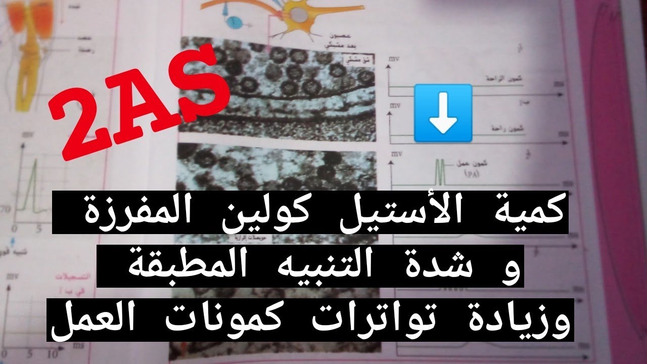 دروس السنة الثانية ثانوي ( الية انتقال السيالة العصبية على مستوى المشبك ( جزء 4 ))