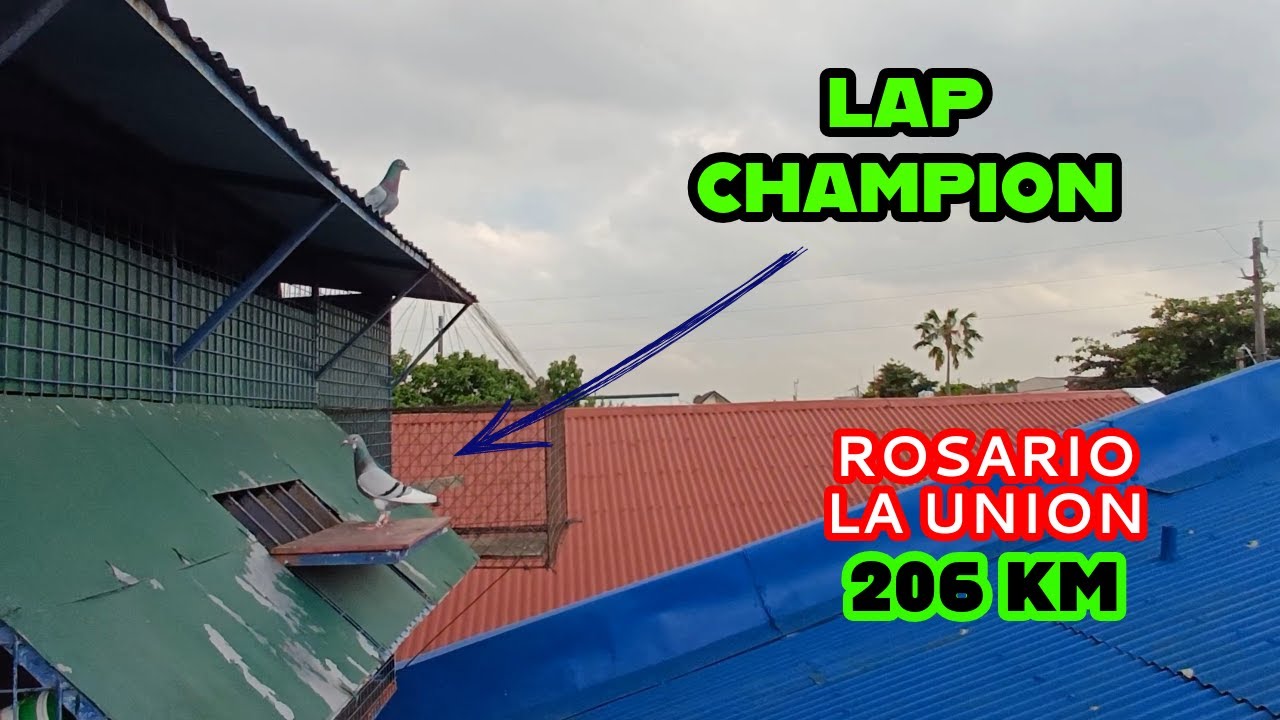 LAST LAP NG 5 LAPS FUNRACE | LAP CHAMPION