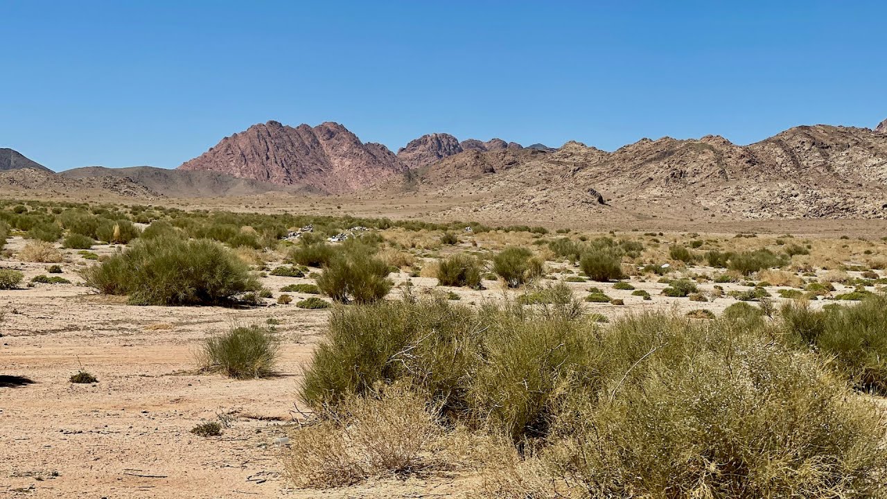 🇸🇦 VISIT TABUK : ARTISTIC ROCK FORMATIONS ⛰ SAND DESERTS | ROAD TRIP TO NORTHWESTERN Saudi Arabia 🚘🧭