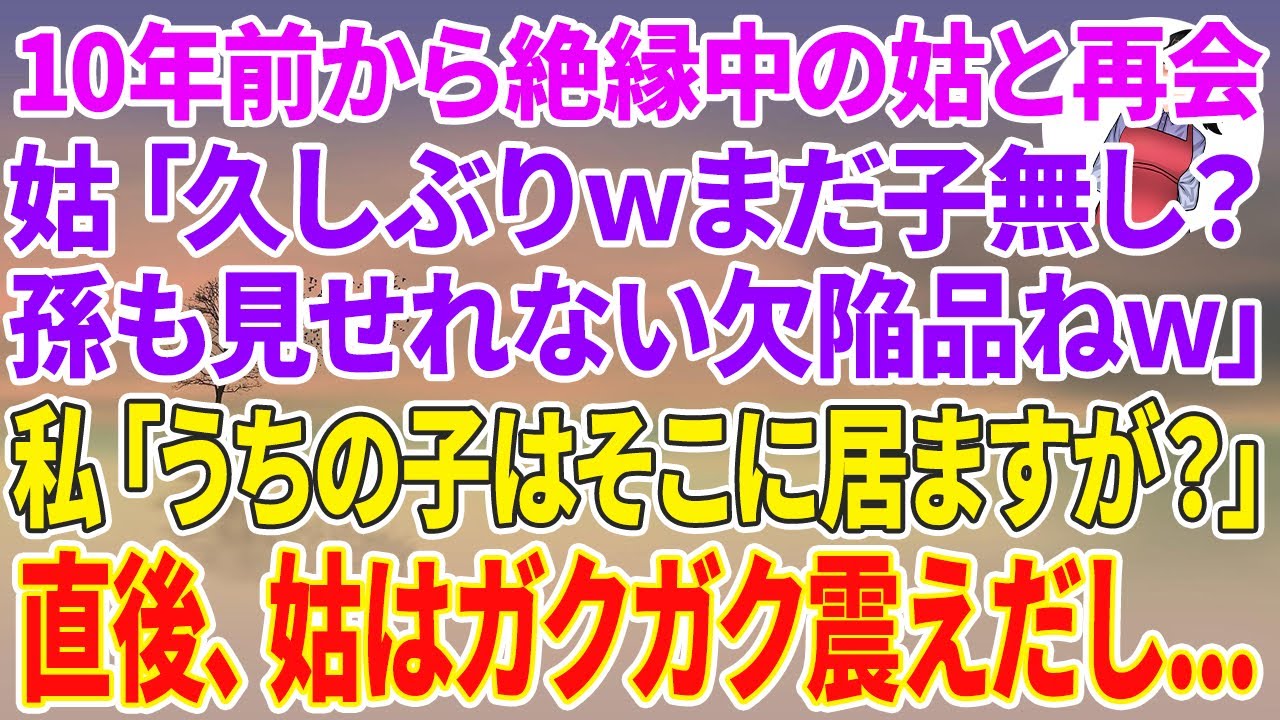 【スカッとする話】公園で10年前から絶縁中の姑と再会。姑「久しぶりwまだ子無し？孫も見せれない欠陥品ねw」私「うちの子はそこに居ますが？」直後、姑はガクガク震えだし...