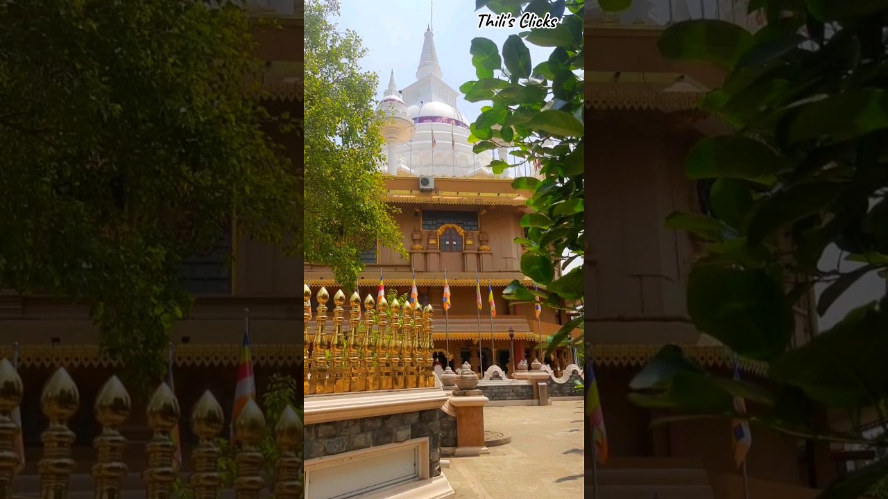 Mahamewna asapuwa Malabe - Places to visit in Colombo District Episoide 05 🍃✨️ #relaxing #vlog