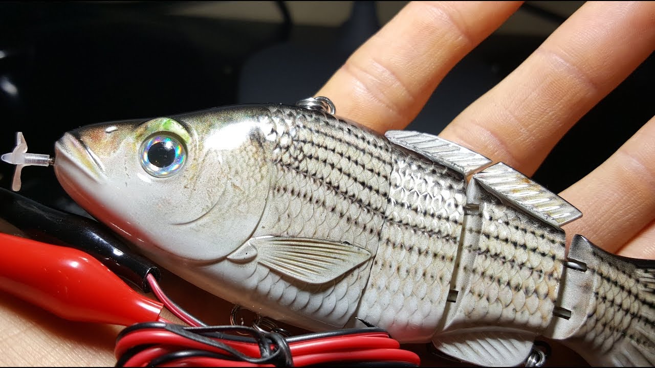 New Fully Motorized Fishing Lure - Beginning of the End for Live Bait?