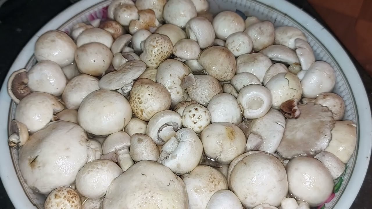 Как заморозить грибы