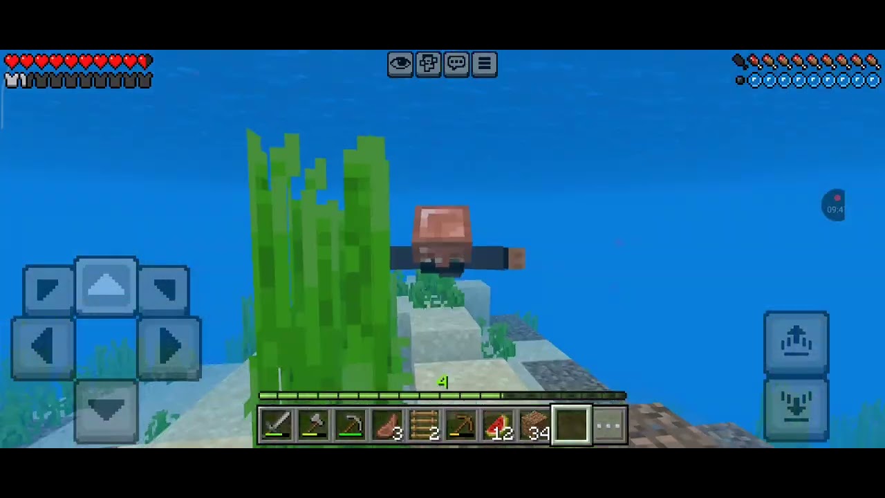 Minecraft Hayatta kalma Gün 1 (devamı)