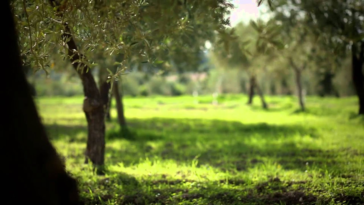 biofertil videos