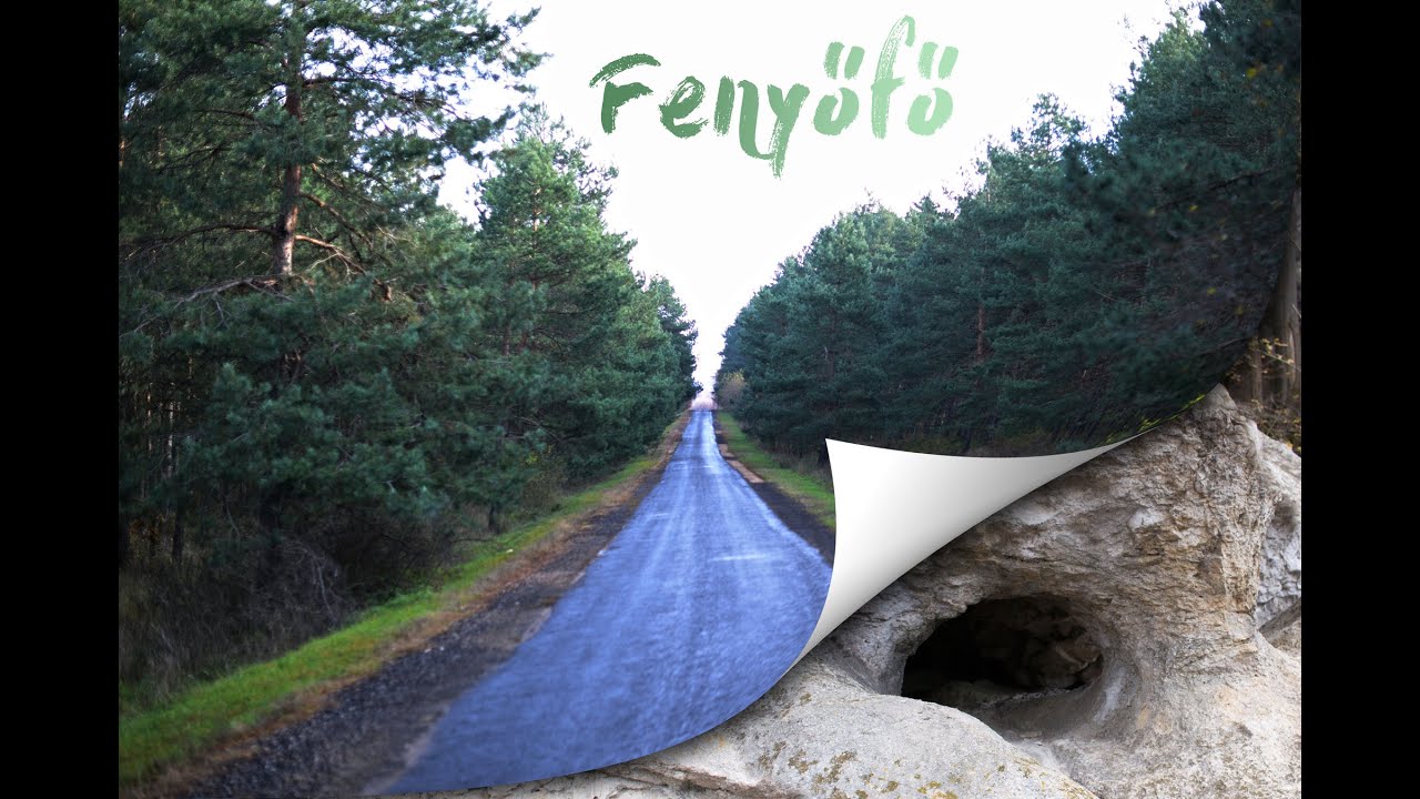 Fenyőfő