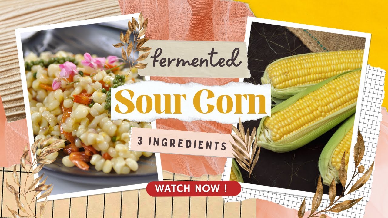 How to Make Fermented Sour Corn