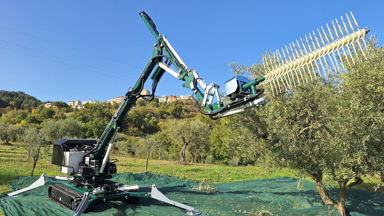 macchina bacchiante semovente per raccolta olive CRF olive one