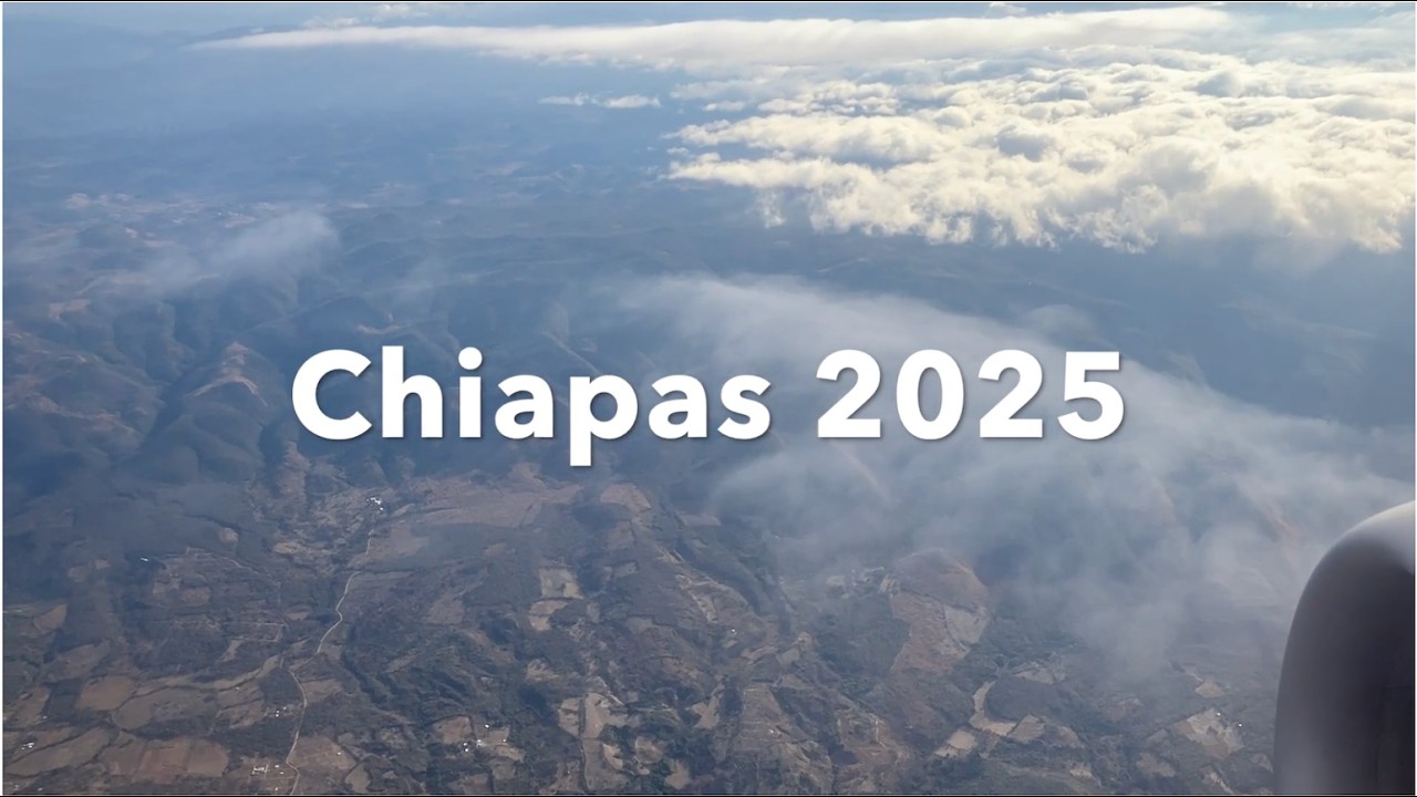 Chiapas, Mexico, February 2025 with Field Guides Birding Tours (Micah Riegner & Jorge Montejo-Diaz)
