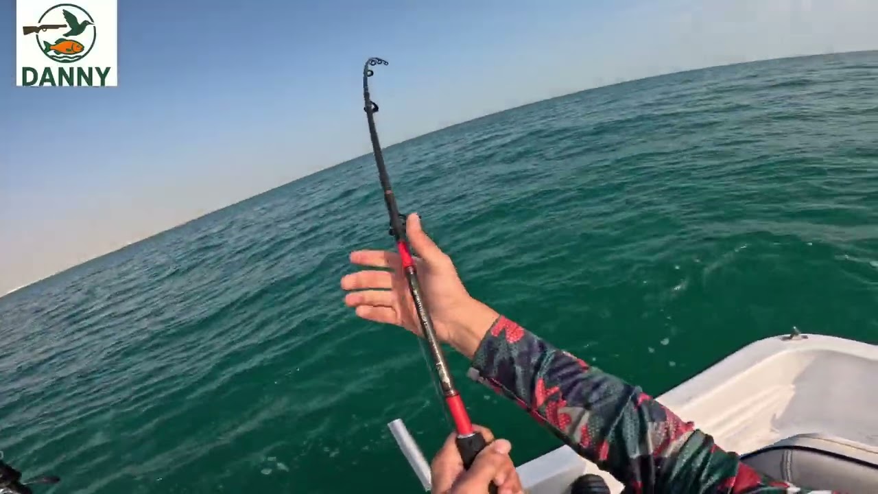 Another monster in my boat 23/12/2025 Cobia legend #qatarfishing #monsterhunter #foryou 