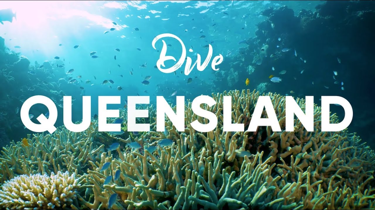 Scuba Diving in Queensland, Australia