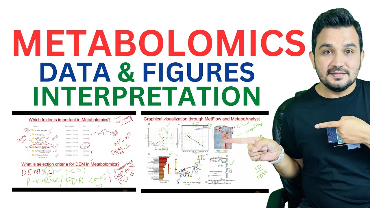A bioinformatics guide to Metabolomics Data analysis interpretation
