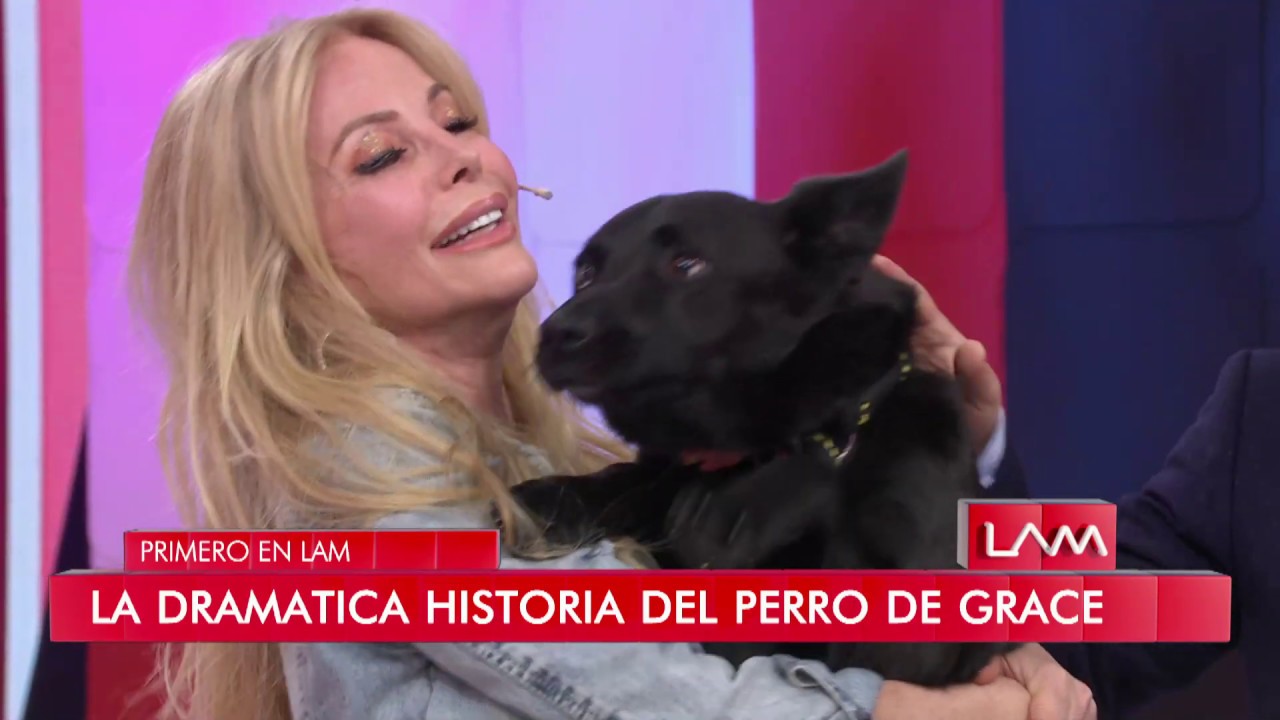 Graciela Alfano trajo a su perro al piso y le dio de comer con la boca