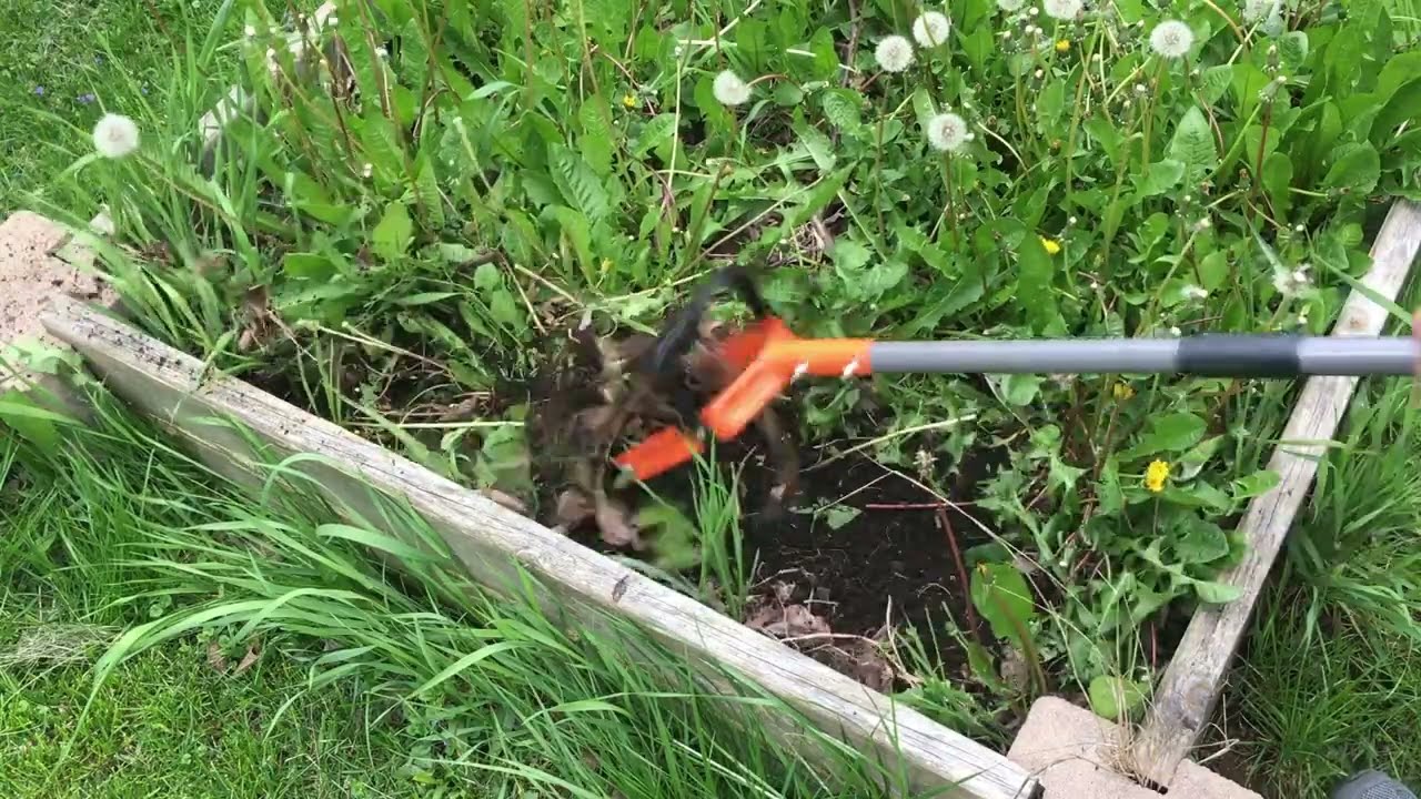 Walensee Rotary Cultivator | FULL DEMO & REVIEW