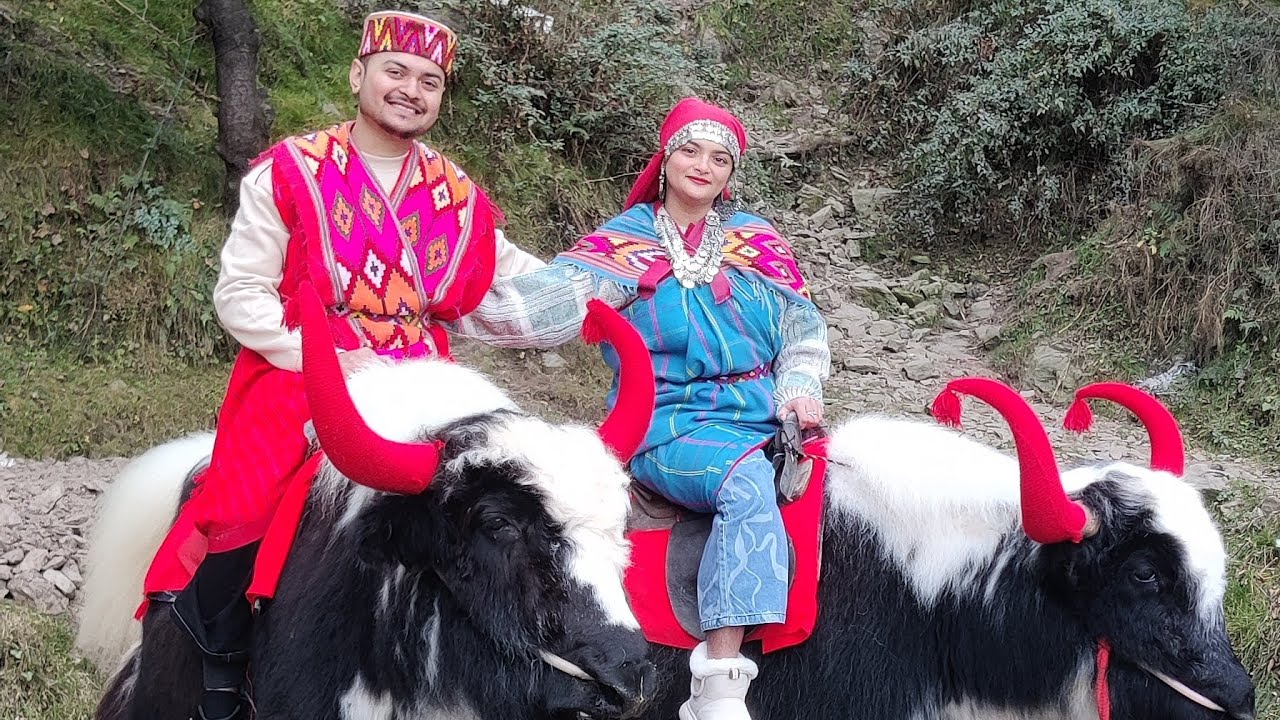 Shimla to Manali Road Trip ❄️ | Snow Adventure, Himachali Dress & Cute Yak Ride 🥰