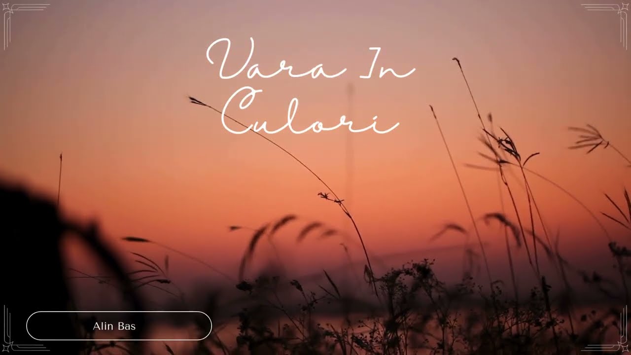 Alin Bas - Vara in culori!