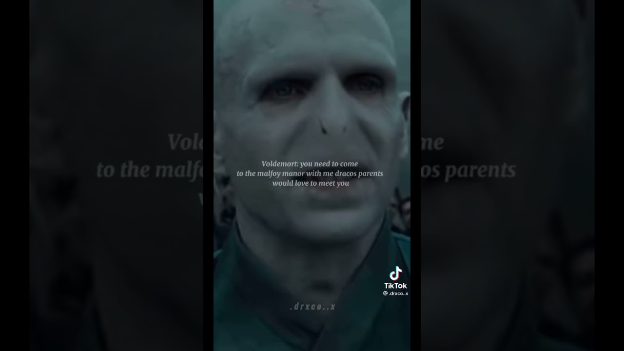 Draco and Y/n Riddle Love story (not mine)