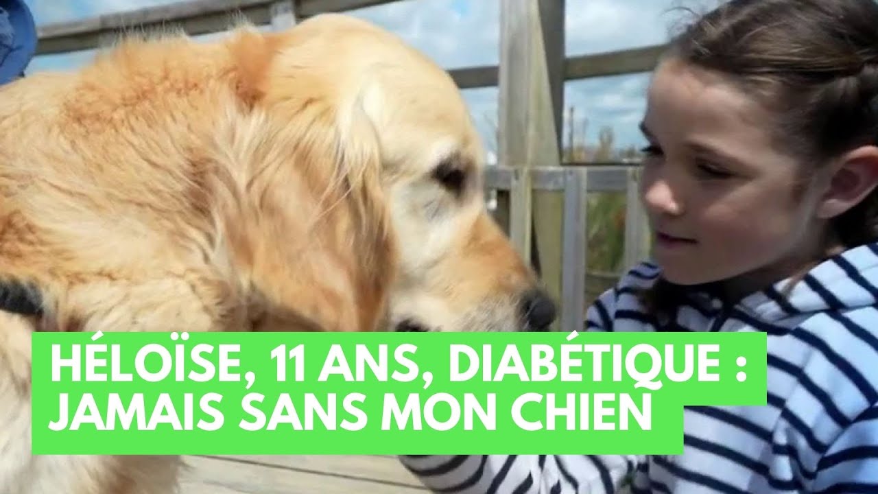 Héloïse, 11 ans, diabétique : jamais sans mon chien ! - La Maison des maternelles 