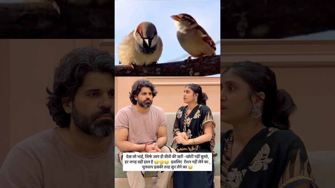 Love You Zindagi ❤️ #shorts #viral #love #trending #lovestatus #couple #husbandwife #vlog #comedy