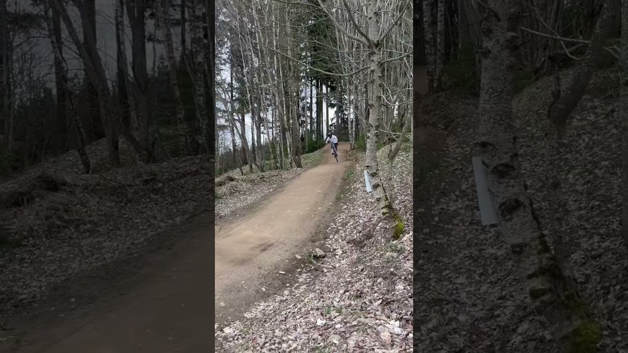 MTB Zone Bikepark Gei&szlig;kopf 2024 #mtb #mtblife #radlfoan