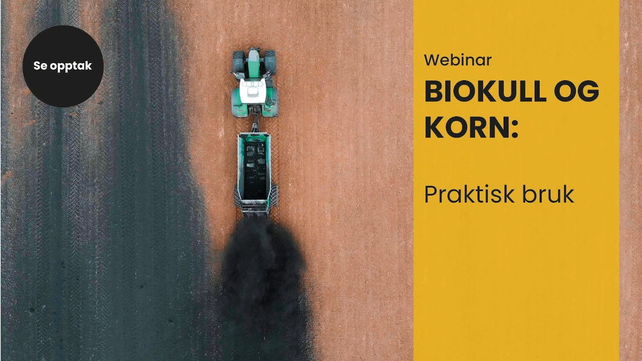 Webinar: Biokull og korn