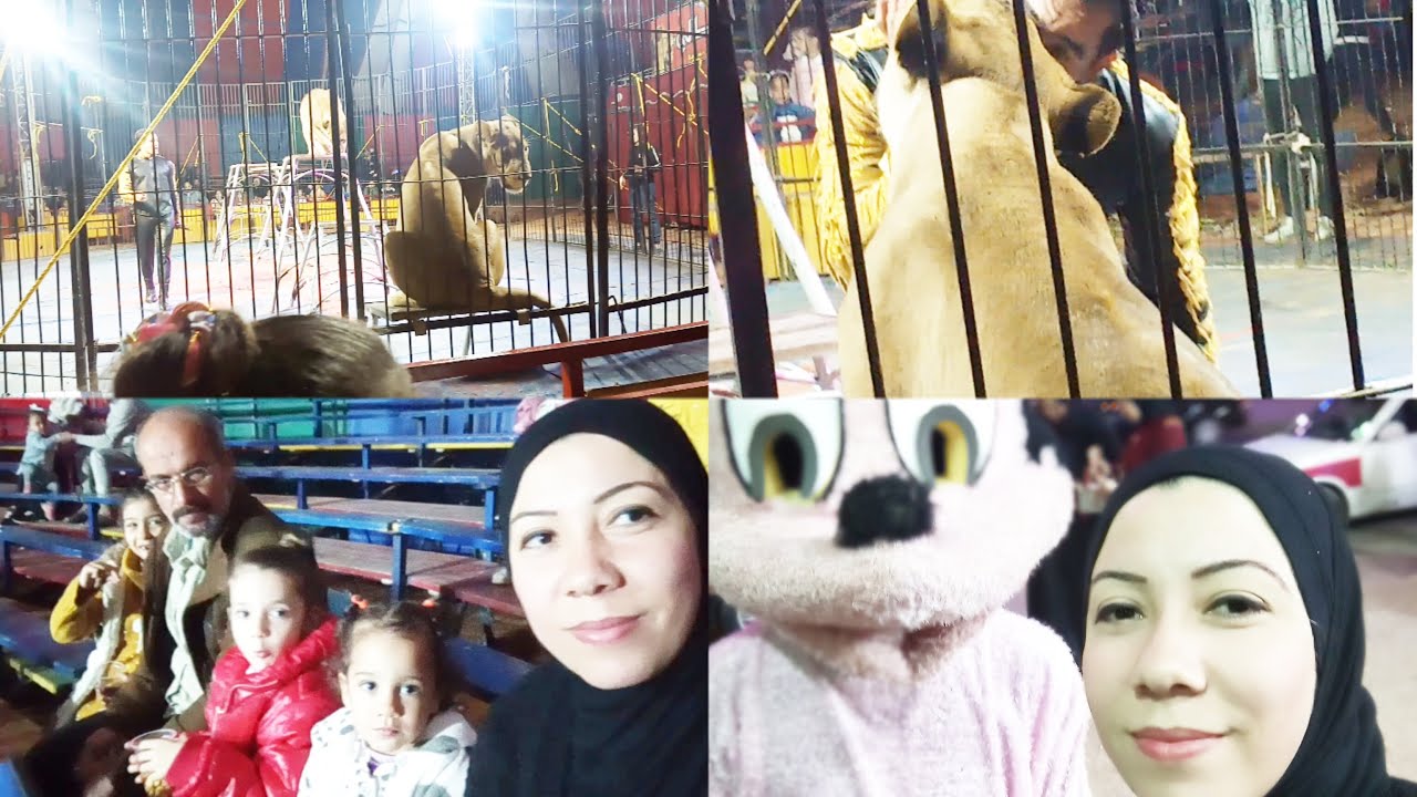 قضينا رأس السنة في السيرك الايطالي وأول مرة نشوف الأسد شوفوا رد الفعل 🤭🙊