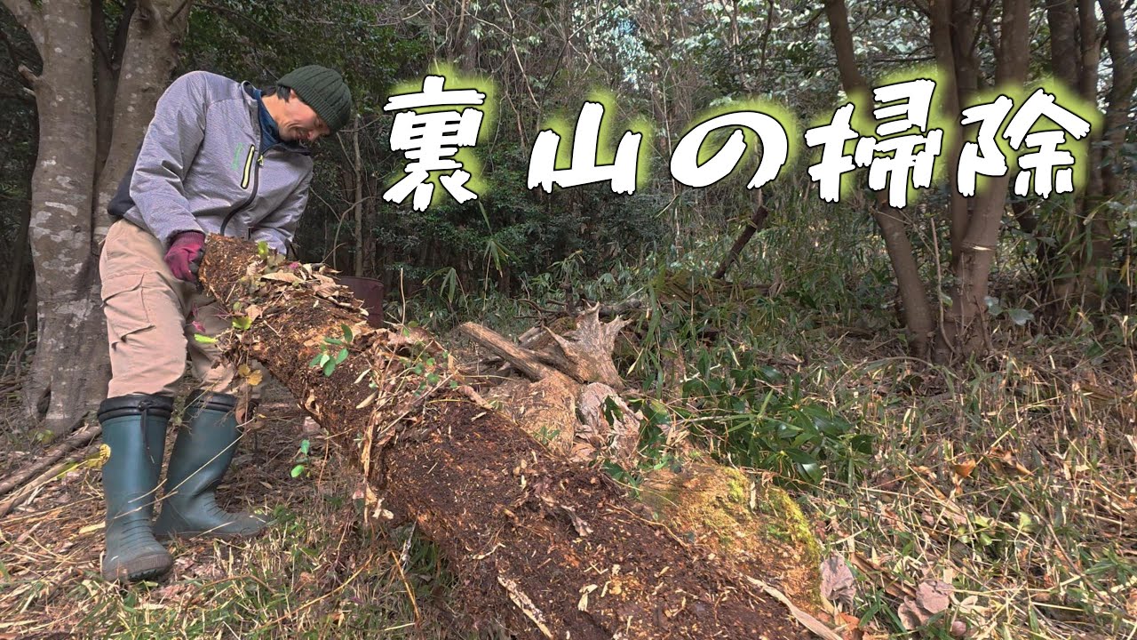 裏山の散らばった倒木の整理