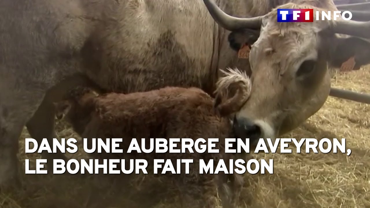 Dans une auberge en Aveyron, le bonheur fait maison