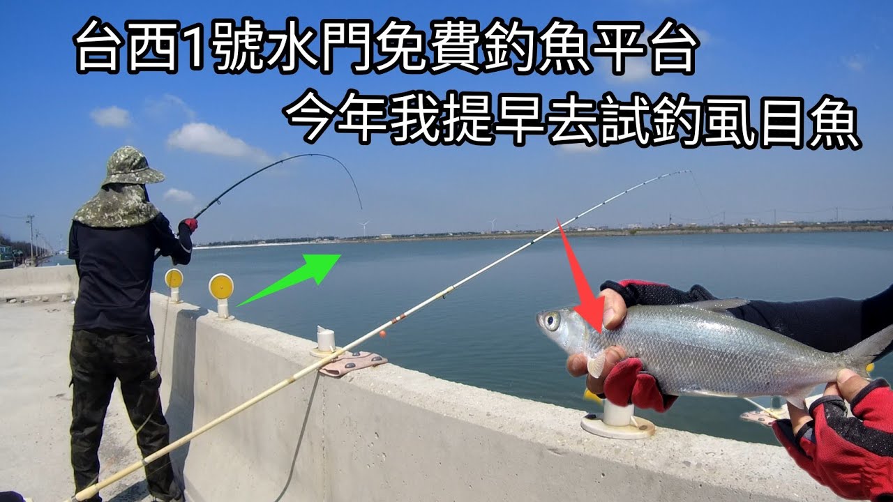 雲林台西1號水門（免費釣魚平台）我這趟提早去試釣虱目魚（346集）@Pin338548 阿平趴趴走