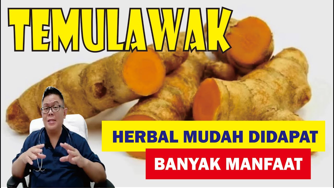 TEMULAWAK............... BAHAN HERBAL MUDAH DIDAPAT, BANYAK MANFAAT