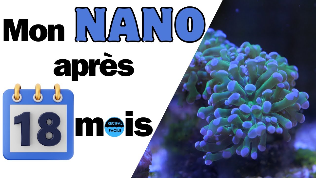 Mon Nano a 18mois: Pas si simple un petit volume !