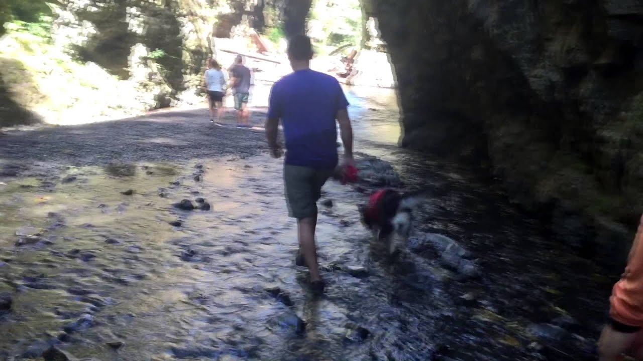 Oneonta Gorge Hike to Lower Oneonta Falls