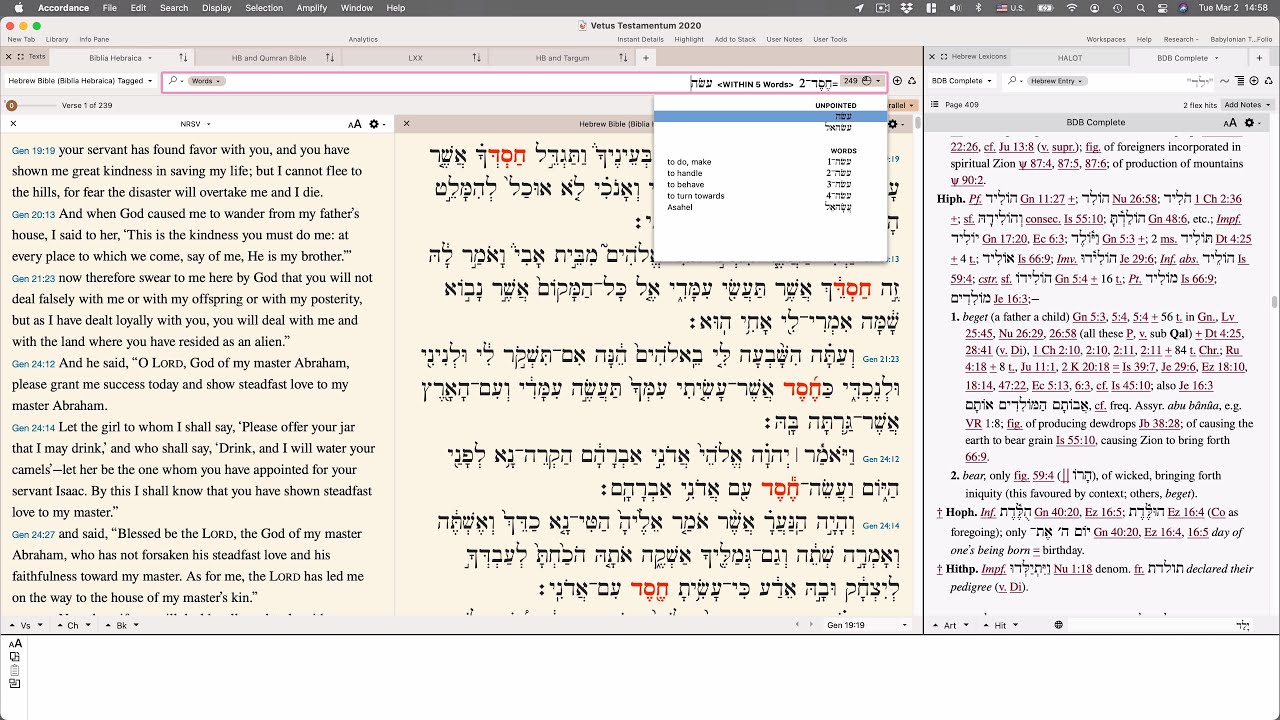 Accordance Bible software for Hebrew Bible
