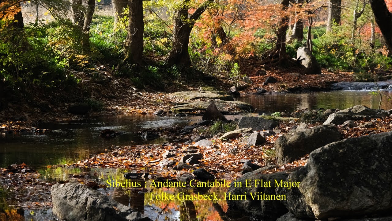 Sibelius : Andante Cantabile in E Flat Major
