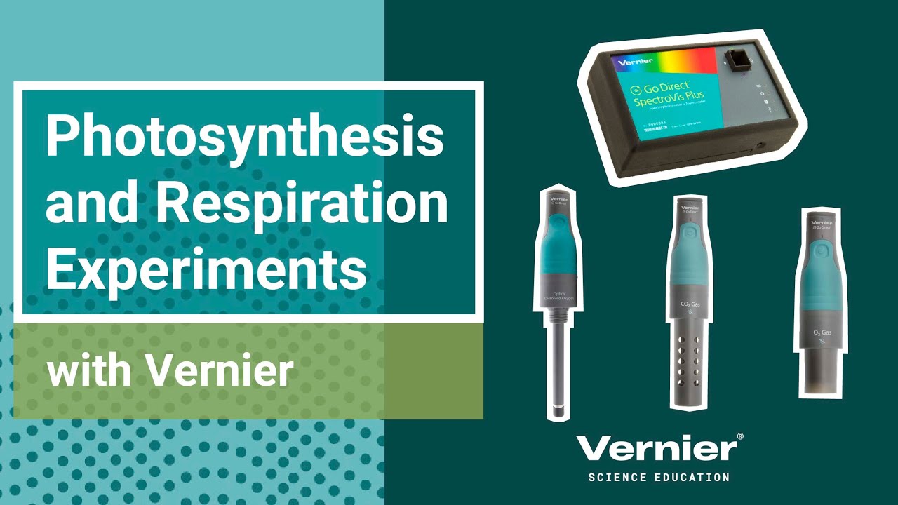 Three Ways to Explore Photosynthesis and Respiration with Vernier