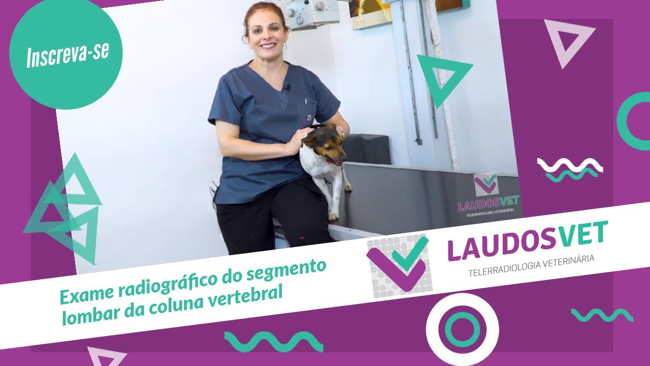 Exame radiográfico do segmento lombar da coluna vertebral